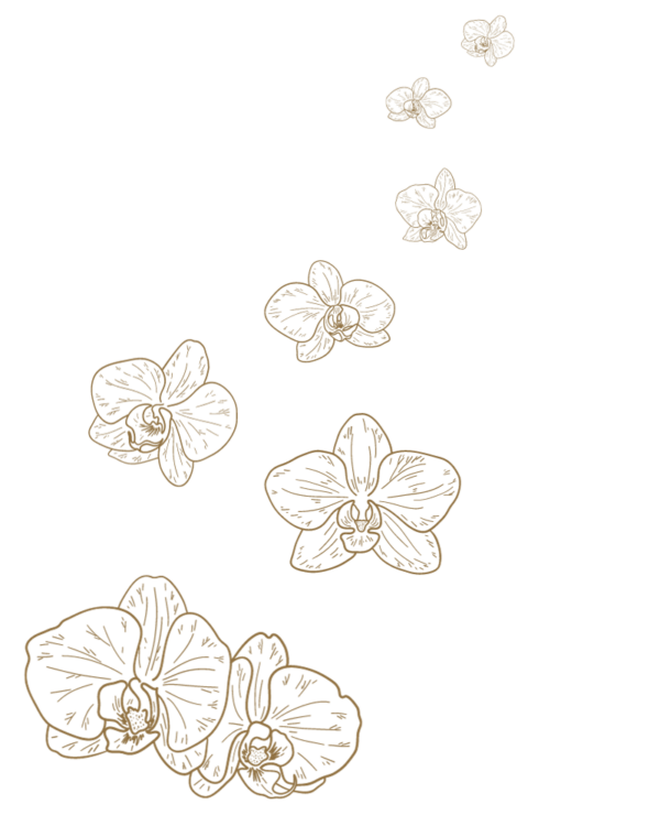 Gezeichnete goldfarbene Orchideen-Blüten.